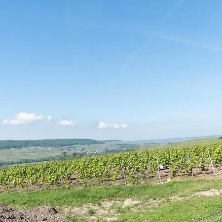 빌라 Saint-vincent Elegance Et Comfort Venteuil